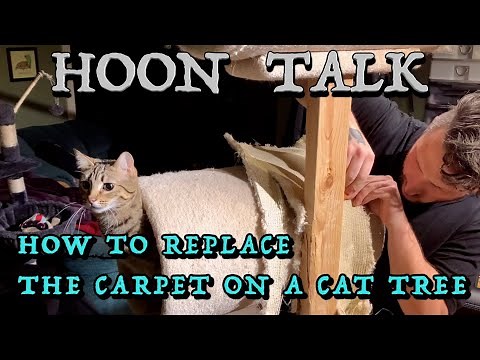 Hoon Talk: How to replace the carpet on a cat tree