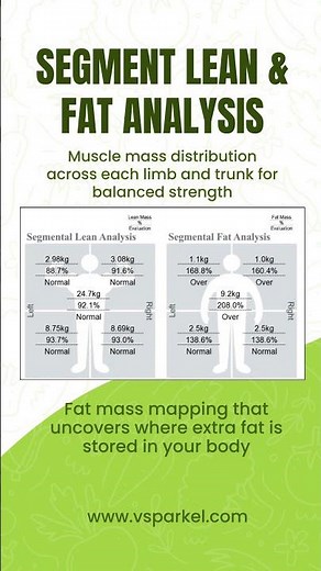 From Fat Mapping to Metabolism - Body Composition Analysis || V Sparkel