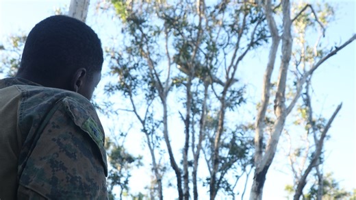 31st MEU | Animal Co. BLT 1/7 conducts simulated assault and seizure