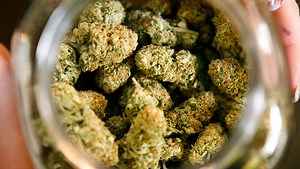 Oregon pot prices dive - and sales soar