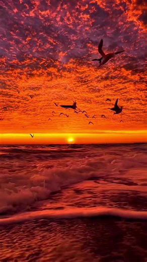 mandheera (@mandheera)’s videos with break! - $wag Nightmare