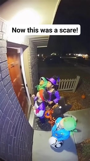 Bear Scare! | Revenge Pranks