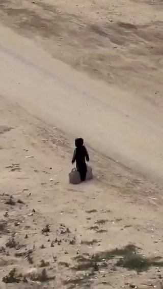 Here’s the video that started all this. 5.8m views so far and millions on that every day.You cannot miss it on your pageline.$Penguin was brave, $Punch was also brave. But, our $Kids are more brave! We owe it to them!It’s about us humans, we need to stick together and help each other.The whole purpose for many of us on crypto was about finding each other for a great cause.Let’s get this far! Try and reach out and see if we find get this $Kid!We’ll also help others!