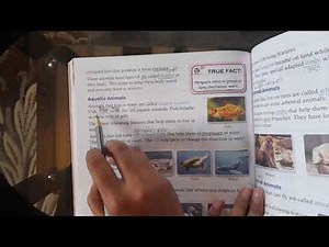 Class 4 | Science | Chapter 4