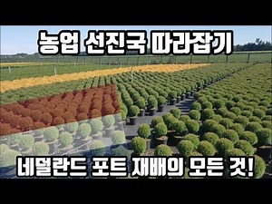 Catching Up with Advanced Agricultural Nations - Everything About Dutch Pot Cultivation! /Daelim ...