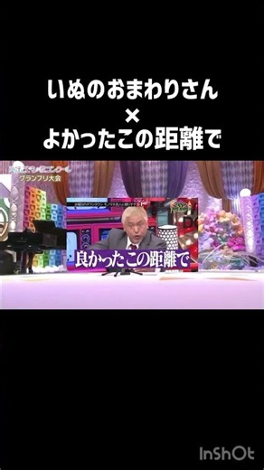 いぬのおまわりさん×よかったこの距離で #童謡 #村方乃々佳 #ののかちゃん
