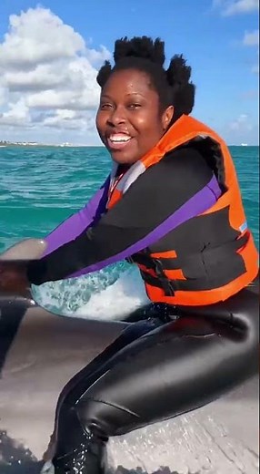 Riding a Dolphin Like a Dream 🐬✨