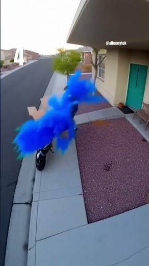 Ultimate Porch Thief Revenge: Top 5 Viral Clips