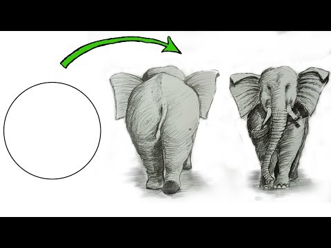 Part - 5 Elephant drawing ||How to draw an elephant front and back side||
