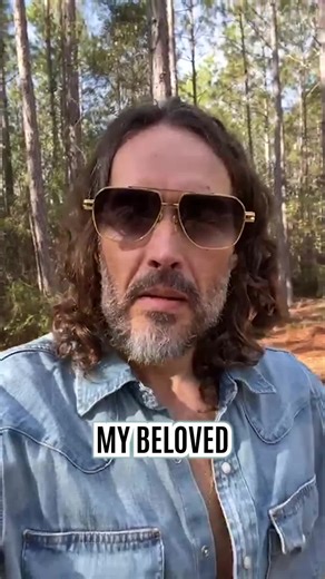 Remembering Bear: A Tribute to a Beloved Dog