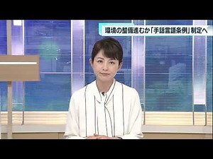 東京都議会 パートナーシップ宣誓制度・手話言語条例が成立
