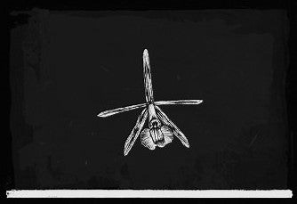 Acuna's Star Orchid - Red Dead Redemption 2 Guide - IGN