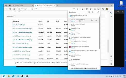 在wsl上安装golang