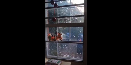 Let it Snow at The Old Vicarage Care Home . | Old Vicarage Care Home