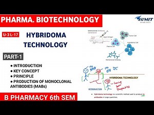 Hybridoma Technology | Production Of Monoclonal Antibodies | Part 1 Unit-3 biotechnology