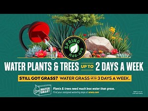 Know how and when to water! (Spring)