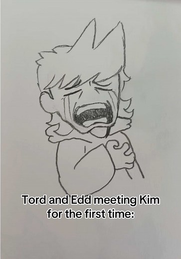Tord and Edd meeting Kim for the first time — Eddsworld clip