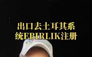 出口去土耳其系统EBIRLIK注册