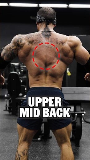 How to target your UPPER MID BACK! #backworkout #backday #gym