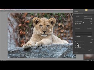 Mastering the Nik Collection - 17: Dfine 2 (Odds & Ends)