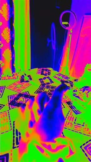 Chickni chamli song pr hand expression 😎😍😷😜tryit# like#guys support me