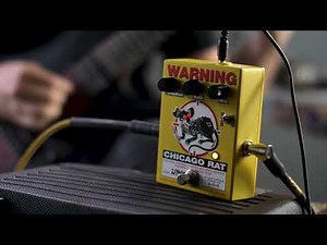Rat-time (Chicago RAT pedal demo) - Rob Scallon