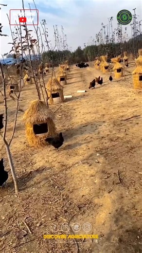 340K views · 157 reactions | Discover the exceptional world of...