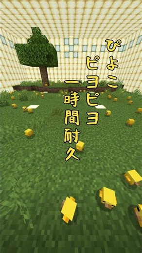 【Minecraft】ひよこピヨピヨ・ろ面視点 一時間耐久 ショート動画