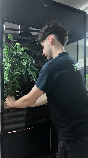 Bioactive snake enclosure setup by ProRep