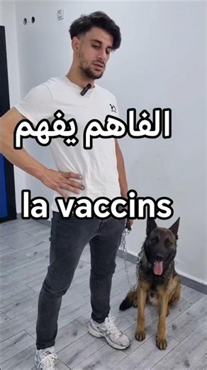 Dog vaccinations - #cat #chien