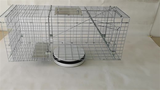 Folded Humane Live Animal Cage Trap for Rats,Cats,Rabbits,Raccoons,Martens,Foxes,Pig,Wild Boars,Birds,Pigeons Manufacturer