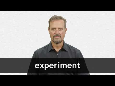 How to pronounce EXPERIMENT in American English