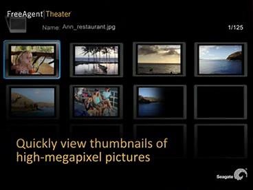 Seagate FreeAgent Theater