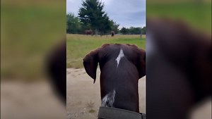 David Muir showcases how $7 million upstate home has transformed for the holidays