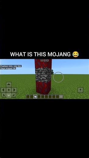 THIS IS WRONG MINECRAFT #minecraft #gaming #shortsfeed #disyt