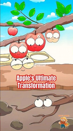 From Grade 3 to Grade 1: The Apple's Ultimate Transformation 🍎 #apple #shorts