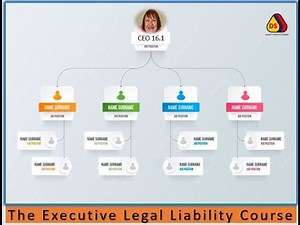 Executive Legal Liability course content