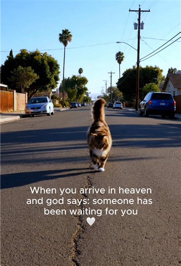 Coping with Pet Loss: A Path to Healing