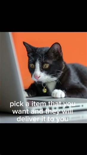 how to buy stuff online tutorial part 58 #cat #catmeme #usefultips #helpful #kitten #fypシ