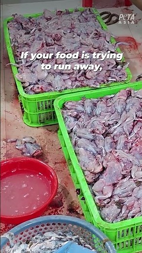 This skinned frog is still alive and trying to escape a nightmare no living being should endure.