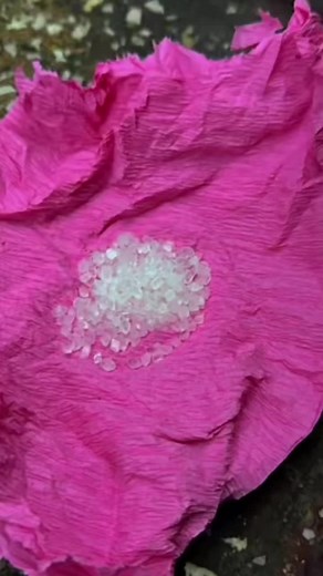 Snack Packaging Process: A Behind-the-Scenes Look