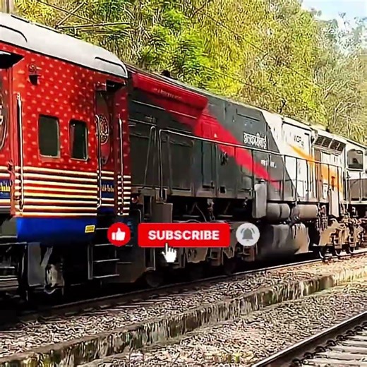 *PUSH-PULL MAHARAJA EXPRESS*☠️🔱👑🤯🥶 #train #viral #maharajaexpress #pushpull