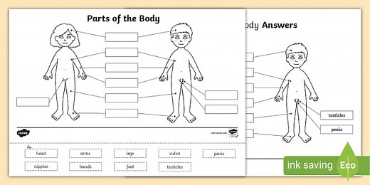 RSHP Let's Learn About My Body Labelling Activity