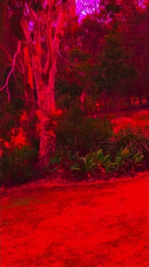 DJI MINI 5 Pro drone HYPERLAPSE Luma Fusion edit