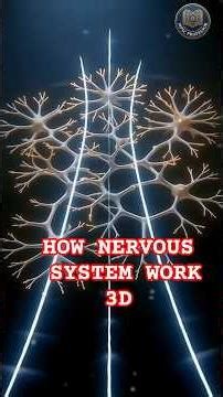 how nervous system work #facts #science #gk #upsc #mpsc #viralvideo #viral #3d