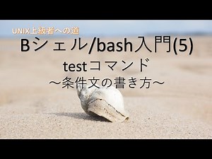 【Bシェル/bash入門】(5) testコマンド 〜条件文の書き方〜