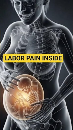 What Happens During Labor Pain Inside the Body? 🤰 | 3D Animation