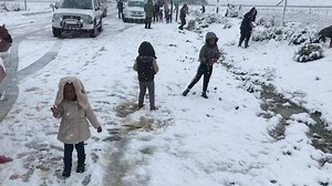 8.1K views · 290 reactions | The curious foodie in me has always been...