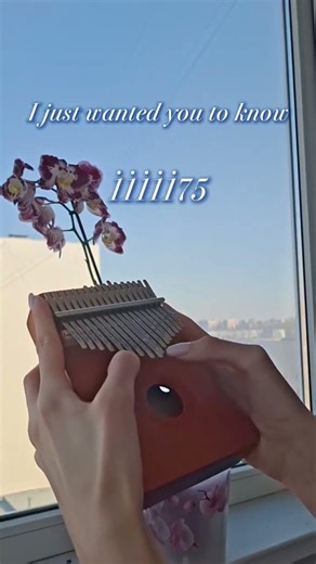 Lana Del Rey - Summertime sadness✨ ЗАКАЗАТЬ КАЛИМБУ-В ОПИСАНИИ #kalimba #cover #tutorial #разбор