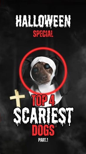 Top 4 Scariest Dogs You Don’t Want to Meet This Halloween 😱🐾 #dog #halloween2025 #shorts